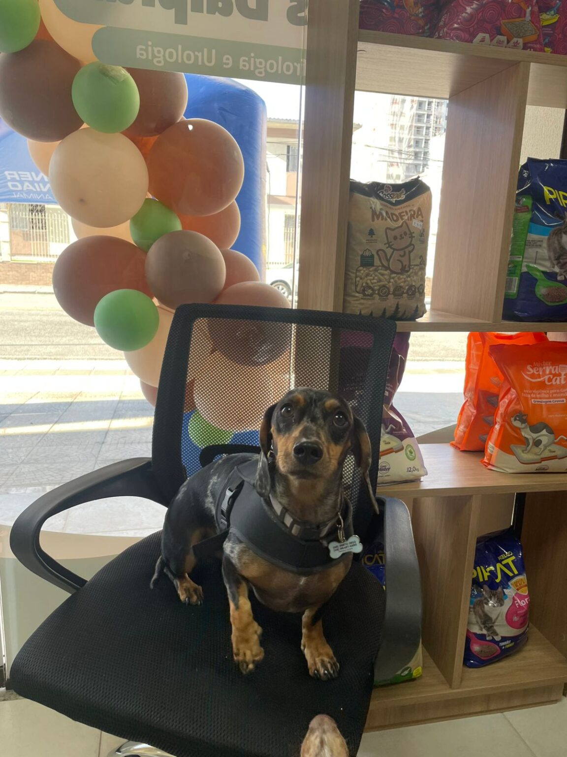 Imagem do WhatsApp de 2025-05-08 à(s) 11.32.27_ad2c59bf